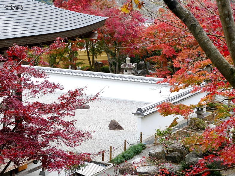 あしかがフラワーパーク・イルミネーションと宝徳寺（秋の床もみじ特別拝観）