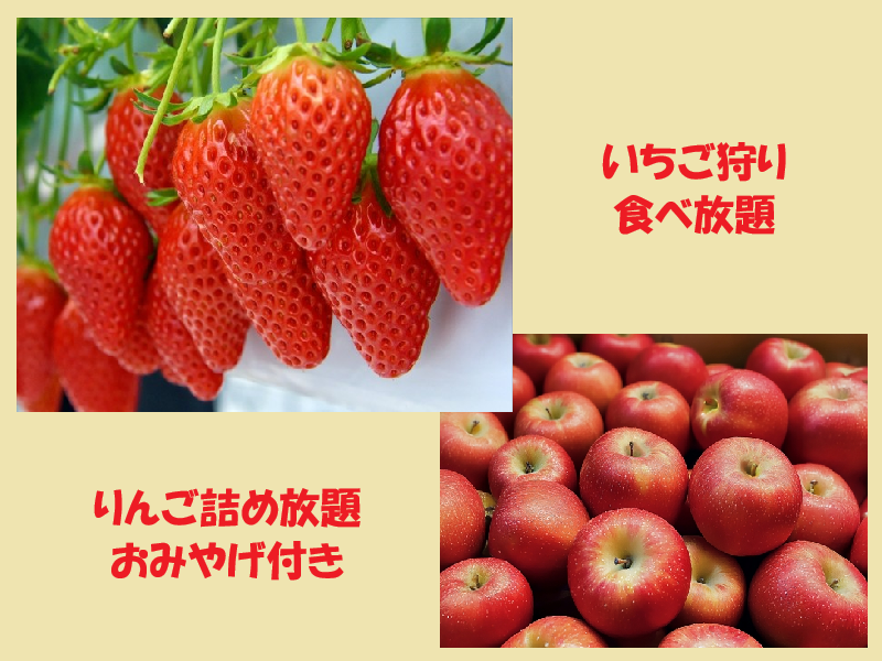 長野須坂「臥竜公園さくらまつり」＆三十段千体の雛祭り＆いちご狩り