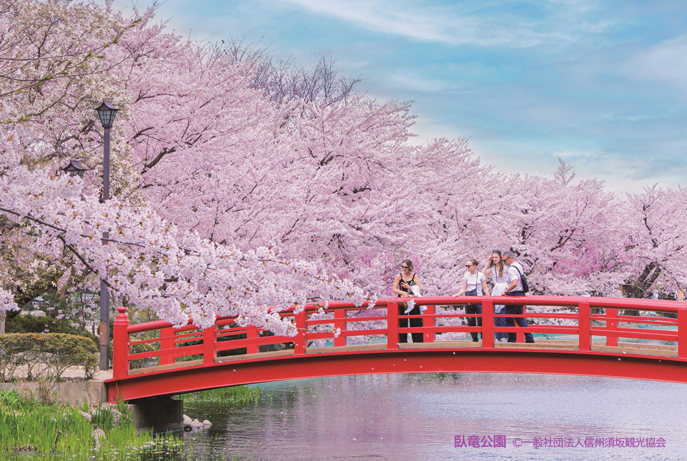 長野須坂「臥竜公園さくらまつり」＆三十段千体の雛祭り＆いちご狩り