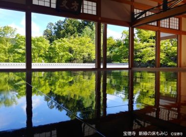 宝徳寺「新緑の床もみじ」とわたらせ渓谷鐡道の旅